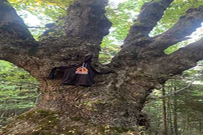 Escursione in quad di 2 ore con visita alla ``Grande Quercia``